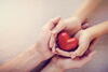 an adult and child's hand cupping a red heart